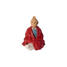TINTIN TAILLEUR